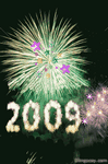 pic for 2009 new year  245x370